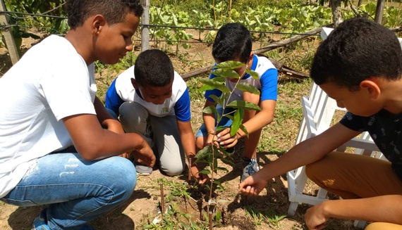 SANAMA comemora o dia da árvore com plantio realizado por alunos do município