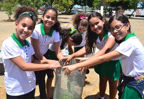 Ação em Maceió e em outras três cidades marcam o Dia da Árvore